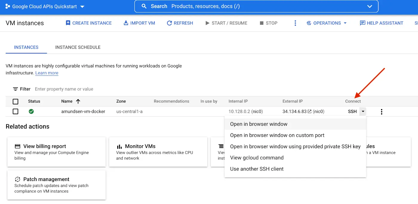 Connect to the Google Cloud VM