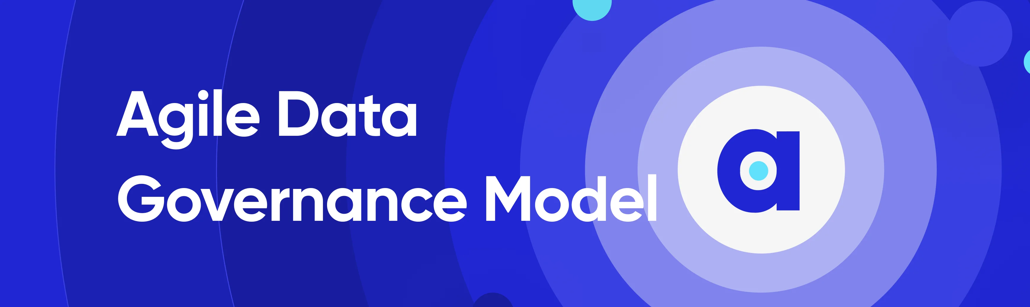 Agile Data Governance Model