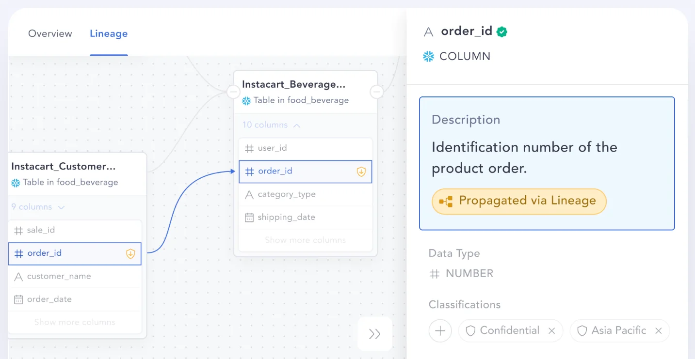 Auto-propagation of data tags and classification via lineage