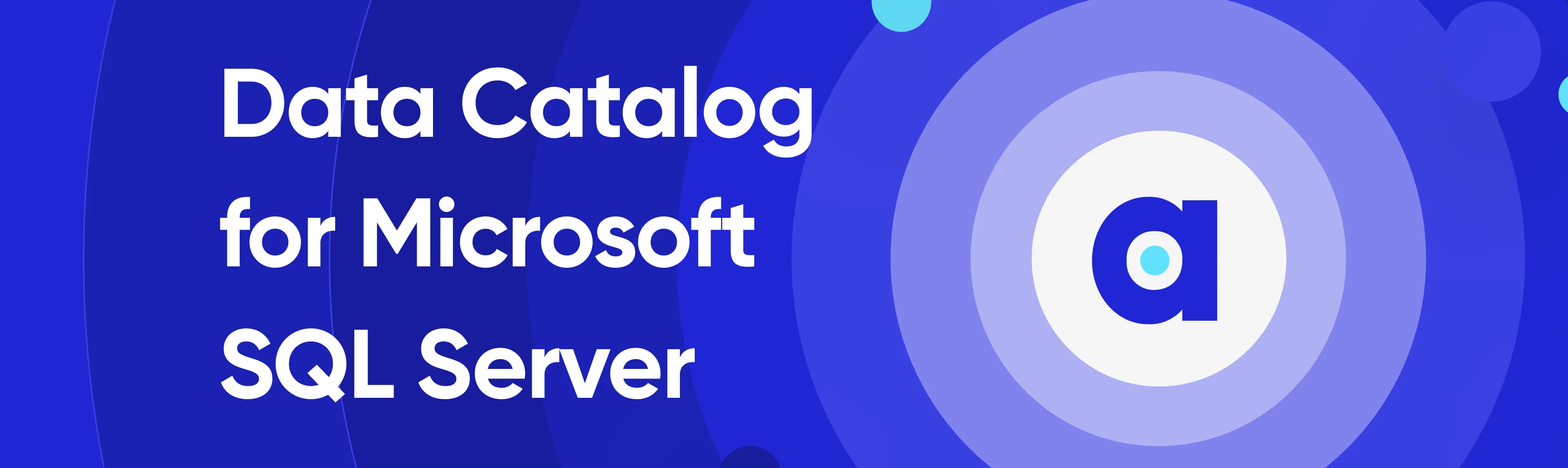 Microsoft SQL Server Data Catalog