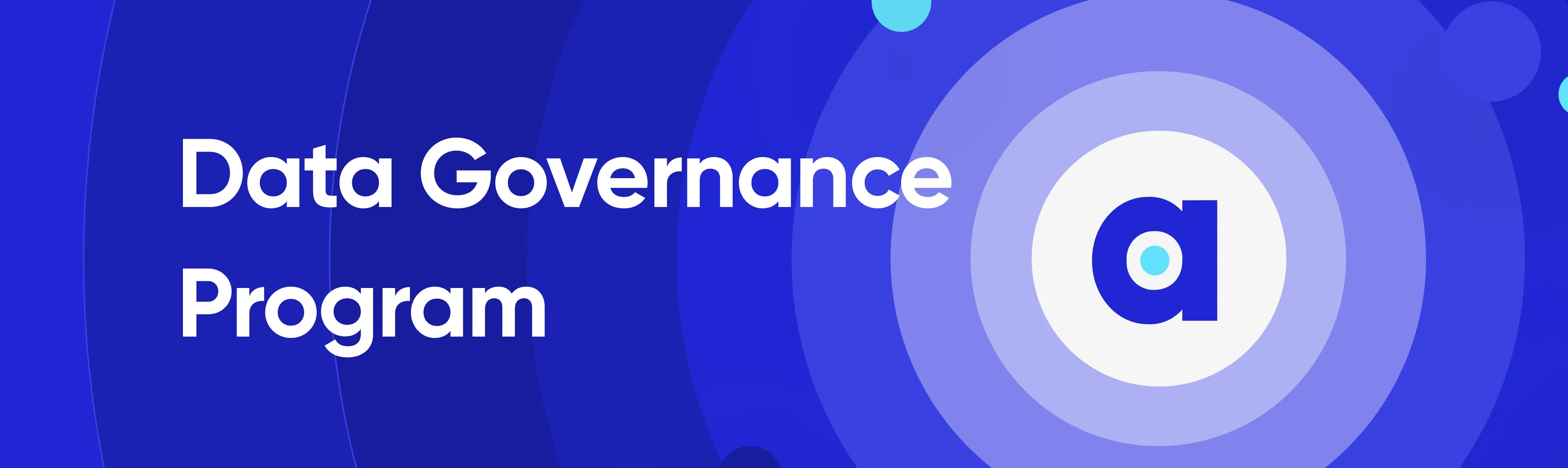 Data governance program