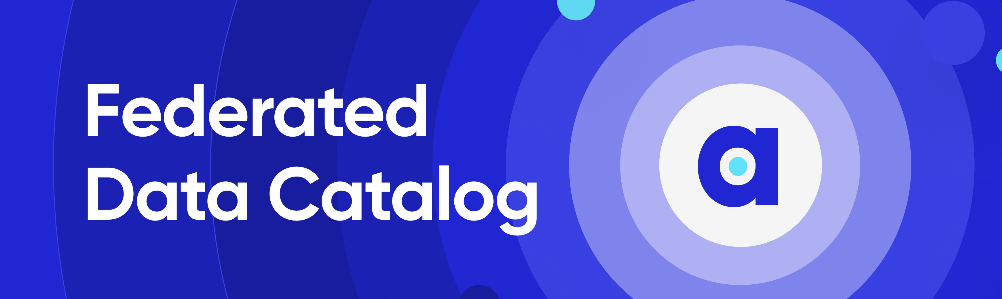 Federated Data Catalog When Should You Go for One?