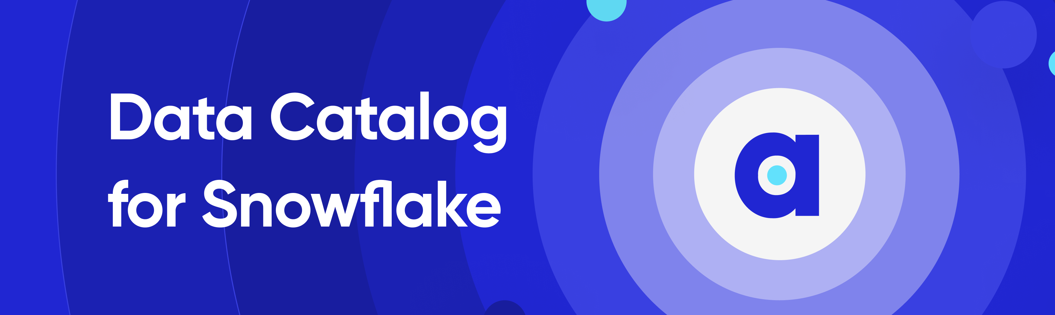 Data Catalog for Snowflake: How to Set Up Guide