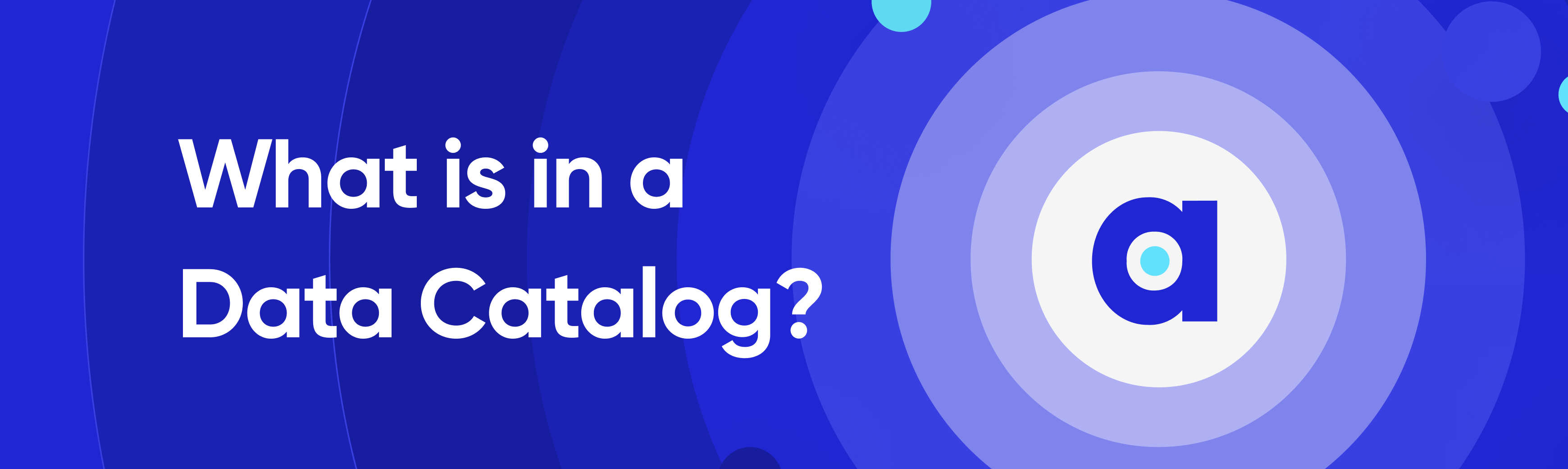What is in a Data Catalog? 6 Things You Should Know in 2023