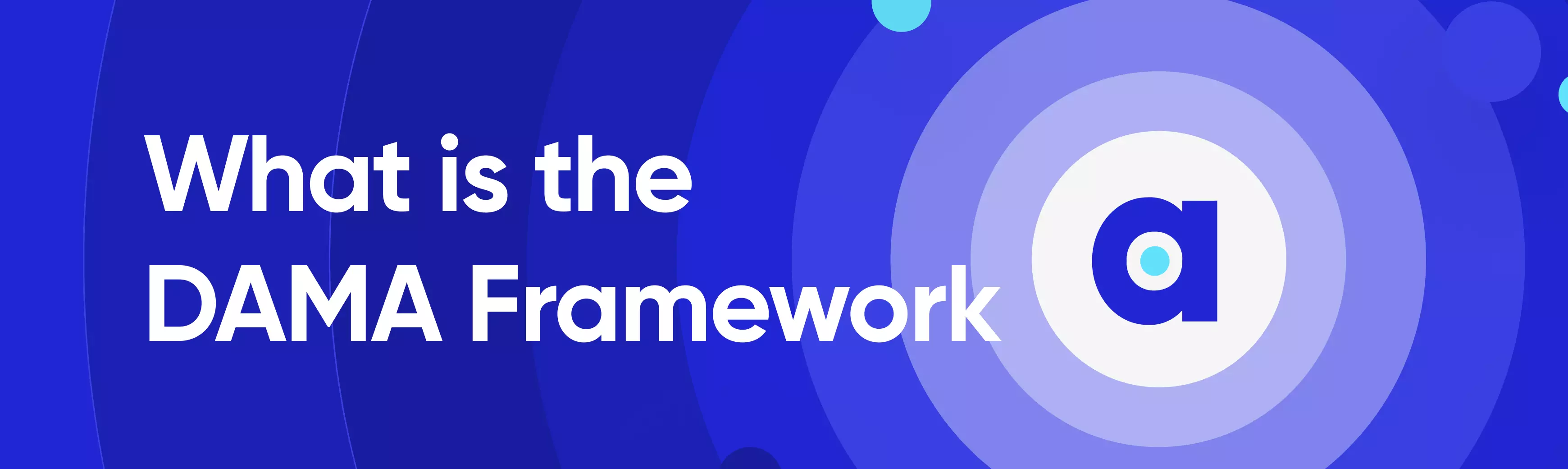 DAMA-DMBOK Functional Framework Guide