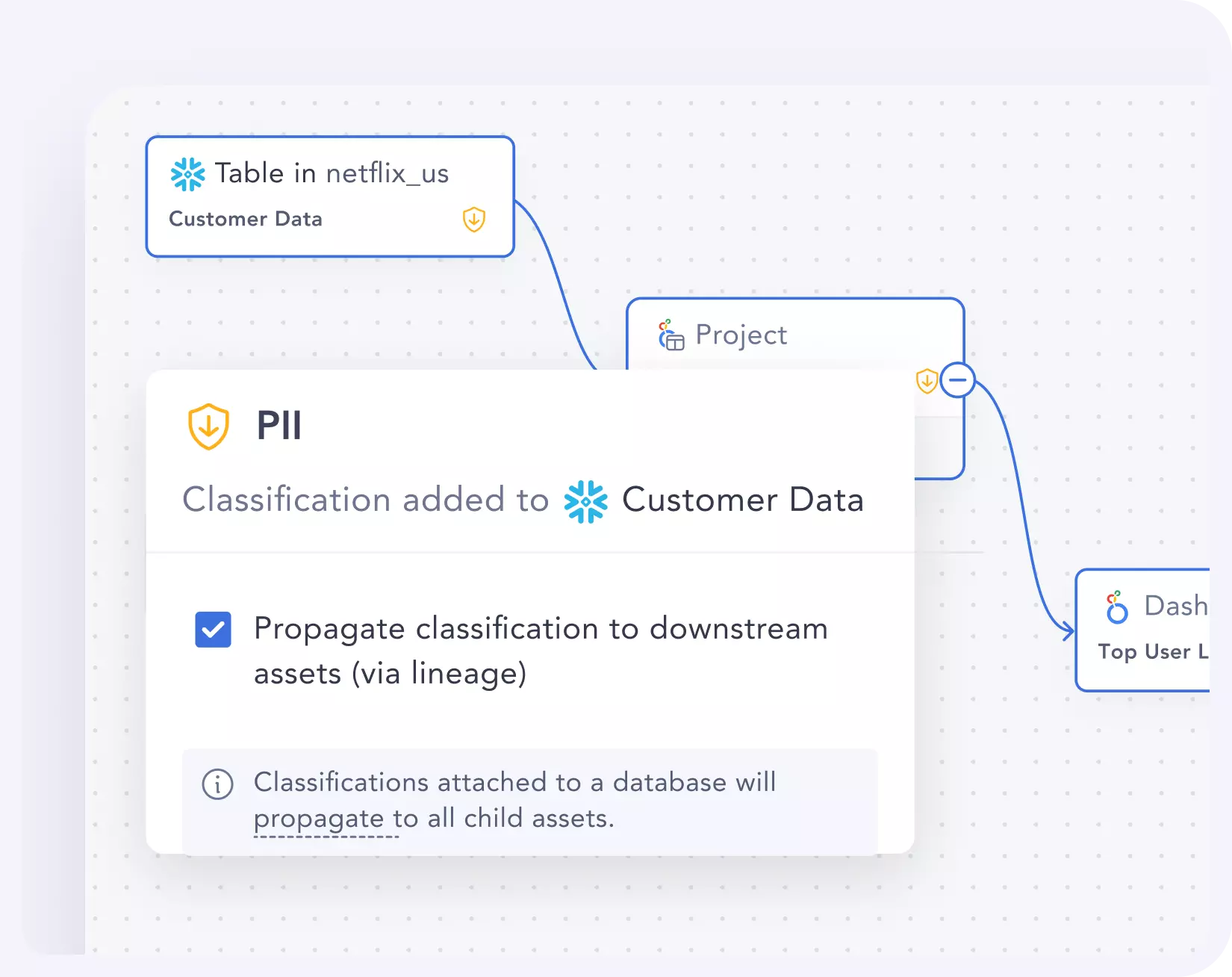 Auto-classify all sensitive PII assets in your data ecosystem