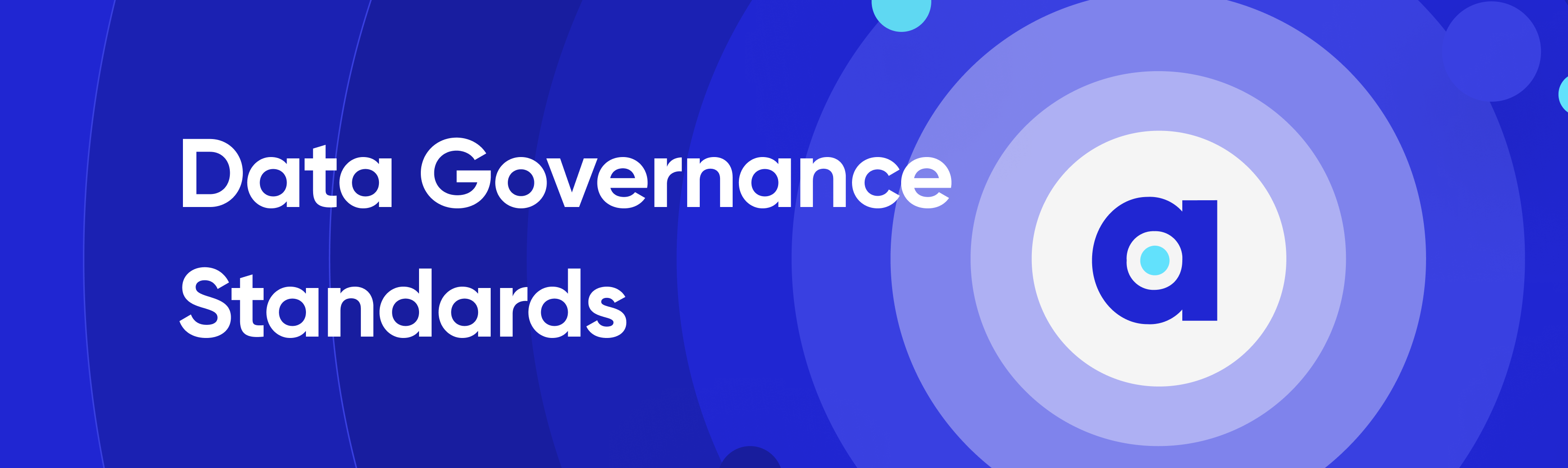 What Are Data Governance Standards