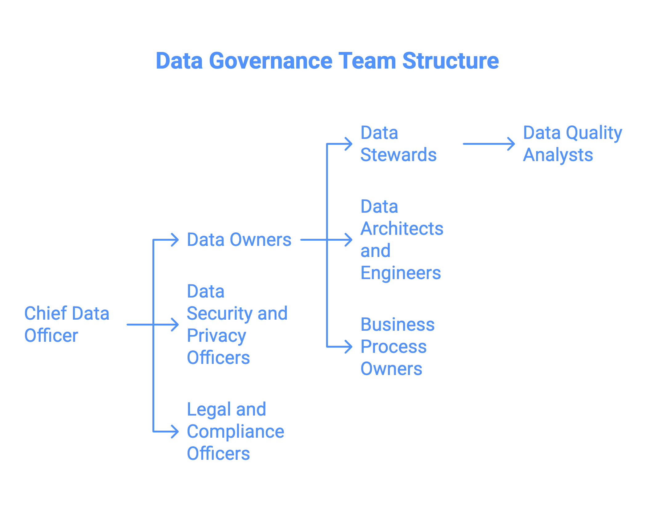 Data governance team structure