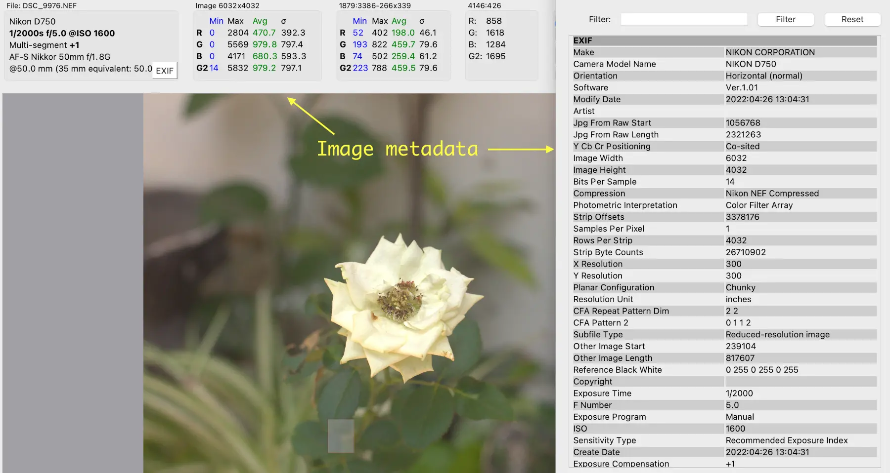 Metadata example - image file