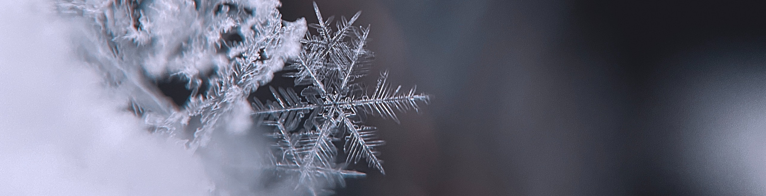 Snowflack Header Snowflake Data Access Control: A Complete Guide for 2024