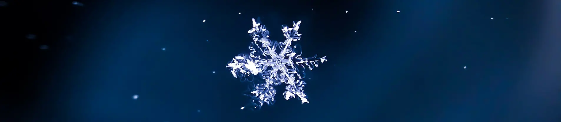 Glossary for Snowflake: Shared Understanding Across Teams