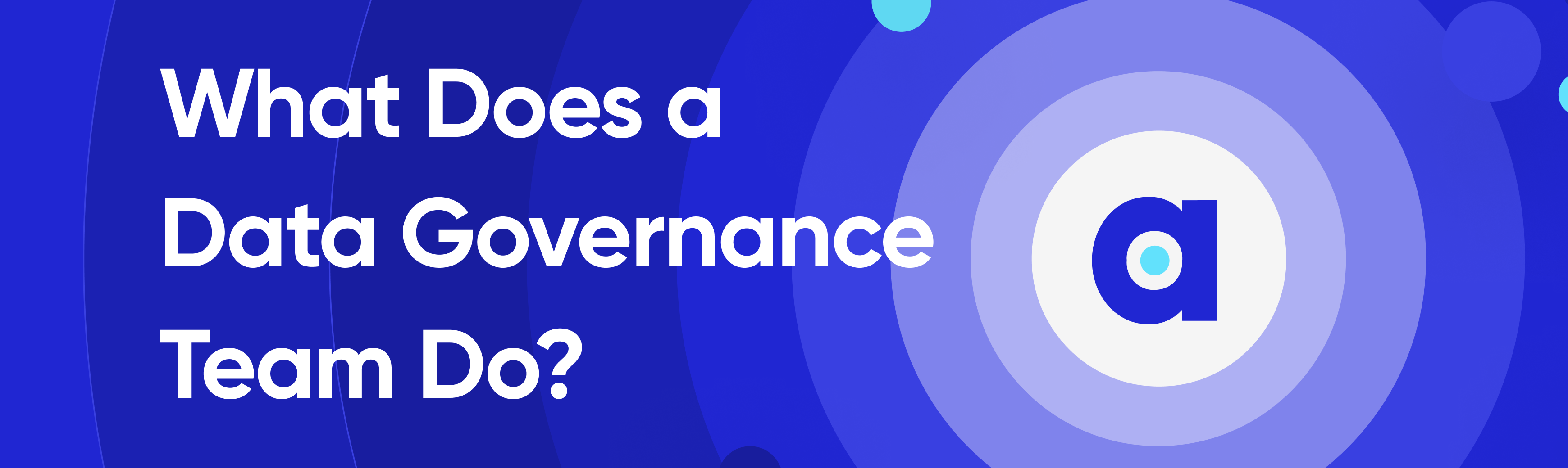 what-does-a-data-governance-team-do